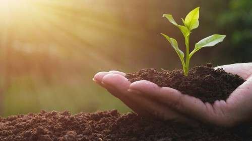 Summer Gardening Series at Genesee Community Library