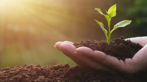 Summer Gardening Series at Genesee Community Library