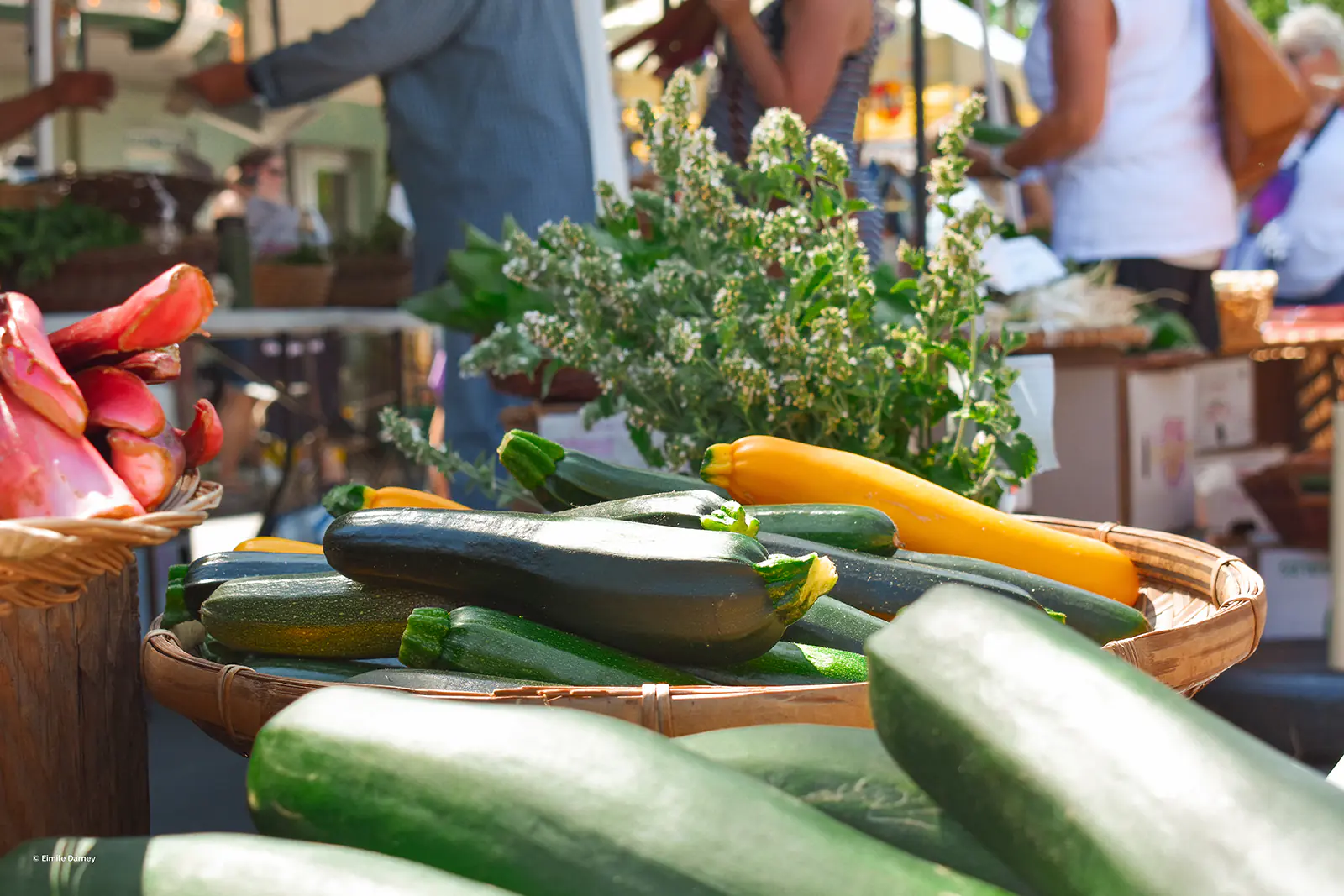 Close up of fresh veggies in baskets at the Moscow farmers market
