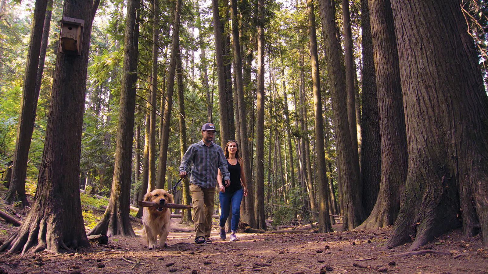 Local Parks in Moscow Idaho